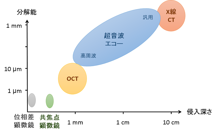 連動の様子