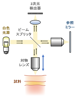 連動の様子