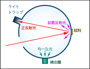 サンプル